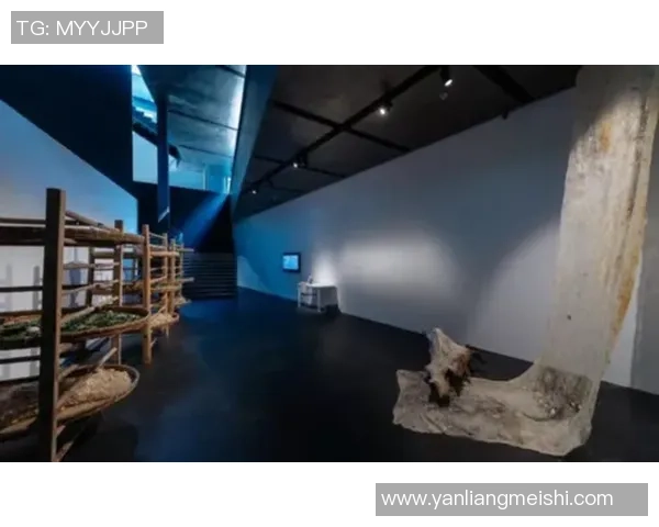 探索埃斯特旺的魅力与独特文化，揭示其在现代社会中的重要地位与影响力